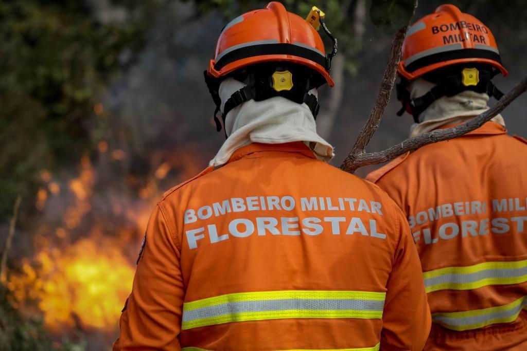 Oficialmente proibido o uso do fogo no Pantanal mato-grossense.